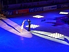 P1100649.JPG P1100649.JPG